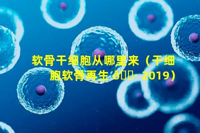 软骨干细胞从哪里来（干细胞软骨再生 🌷 2019）